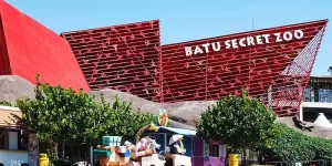 hewan yang ada di batu secret zoo