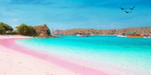 pantai terbaik di malang