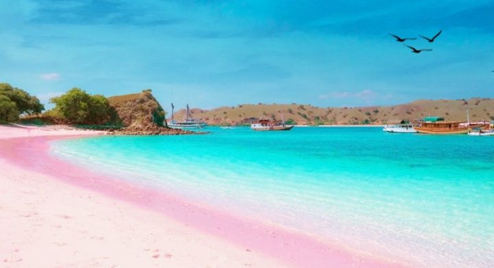 pantai terbaik di malang